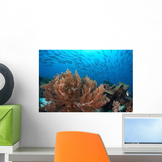 Coral Reef and School Wall Decal