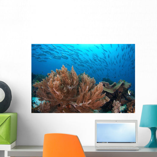 Coral Reef and School Wall Decal