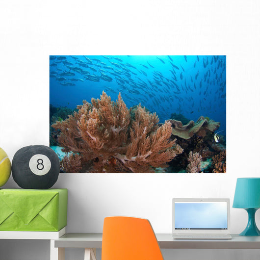 Coral Reef and School Wall Decal