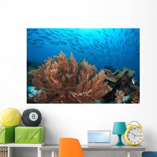 Coral Reef and School Wall Decal