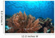 Coral Reef and School Wall Decal