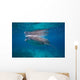 Whale Shark Feeding Bohol Wall Decal Design 6