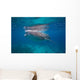 Whale Shark Feeding Bohol Wall Decal Design 6