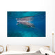Whale Shark Feeding Bohol Wall Decal Design 6