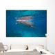 Whale Shark Feeding Bohol Wall Decal Design 6