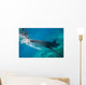 Injured Whale Shark Feeding Wall Decal Design 3