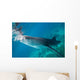 Injured Whale Shark Feeding Wall Decal Design 3