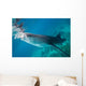 Injured Whale Shark Feeding Wall Decal Design 3
