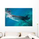 Injured Whale Shark Feeding Wall Decal Design 3