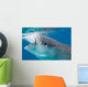 Injured Whale Shark Feeding Wall Decal Design 2