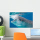 Injured Whale Shark Feeding Wall Decal Design 2