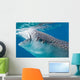 Injured Whale Shark Feeding Wall Decal Design 2
