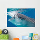 Injured Whale Shark Feeding Wall Decal Design 2