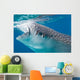 Injured Whale Shark Feeding Wall Decal Design 2