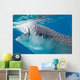 Injured Whale Shark Feeding Wall Decal Design 2