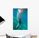 Injured Whale Shark Feeding Wall Decal Design 1