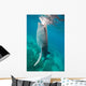 Injured Whale Shark Feeding Wall Decal Design 1
