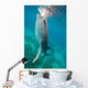 Injured Whale Shark Feeding Wall Decal Design 1