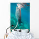 Injured Whale Shark Feeding Wall Decal Design 1