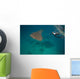 Researcher Taking Picture Whale Wall Decal