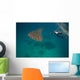 Researcher Taking Picture Whale Wall Decal