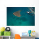 Researcher Taking Picture Whale Wall Decal