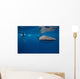 Whale Shark Researcher Is Wall Decal