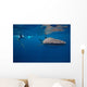 Whale Shark Researcher Is Wall Decal