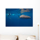 Whale Shark Researcher Is Wall Decal