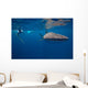 Whale Shark Researcher Is Wall Decal