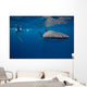 Whale Shark Researcher Is Wall Decal