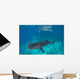 Tourist Enjoys Company Two Wall Decal