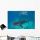 Tourist Enjoys Company Two Wall Decal