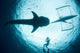 Underwater Photographer Enjoys Moment Wall Decal