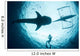 Underwater Photographer Enjoys Moment Wall Decal