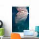 Whale Shark Feeding Bohol Wall Decal Design 5