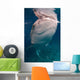 Whale Shark Feeding Bohol Wall Decal Design 5