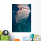 Whale Shark Feeding Bohol Wall Decal Design 5