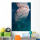 Whale Shark Feeding Bohol Wall Decal Design 5