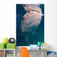 Whale Shark Feeding Bohol Wall Decal Design 5