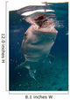 Whale Shark Feeding Bohol Wall Decal Design 4
