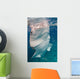 Whale Shark Feeding Bohol Wall Decal Design 3