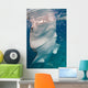 Whale Shark Feeding Bohol Wall Decal Design 3