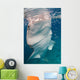 Whale Shark Feeding Bohol Wall Decal Design 3