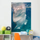 Whale Shark Feeding Bohol Wall Decal Design 3