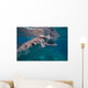 Whale Shark Feeding Bohol Wall Decal Design 2