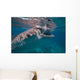 Whale Shark Feeding Bohol Wall Decal Design 2