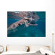 Whale Shark Feeding Bohol Wall Decal Design 2