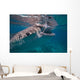 Whale Shark Feeding Bohol Wall Decal Design 2