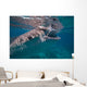 Whale Shark Feeding Bohol Wall Decal Design 2